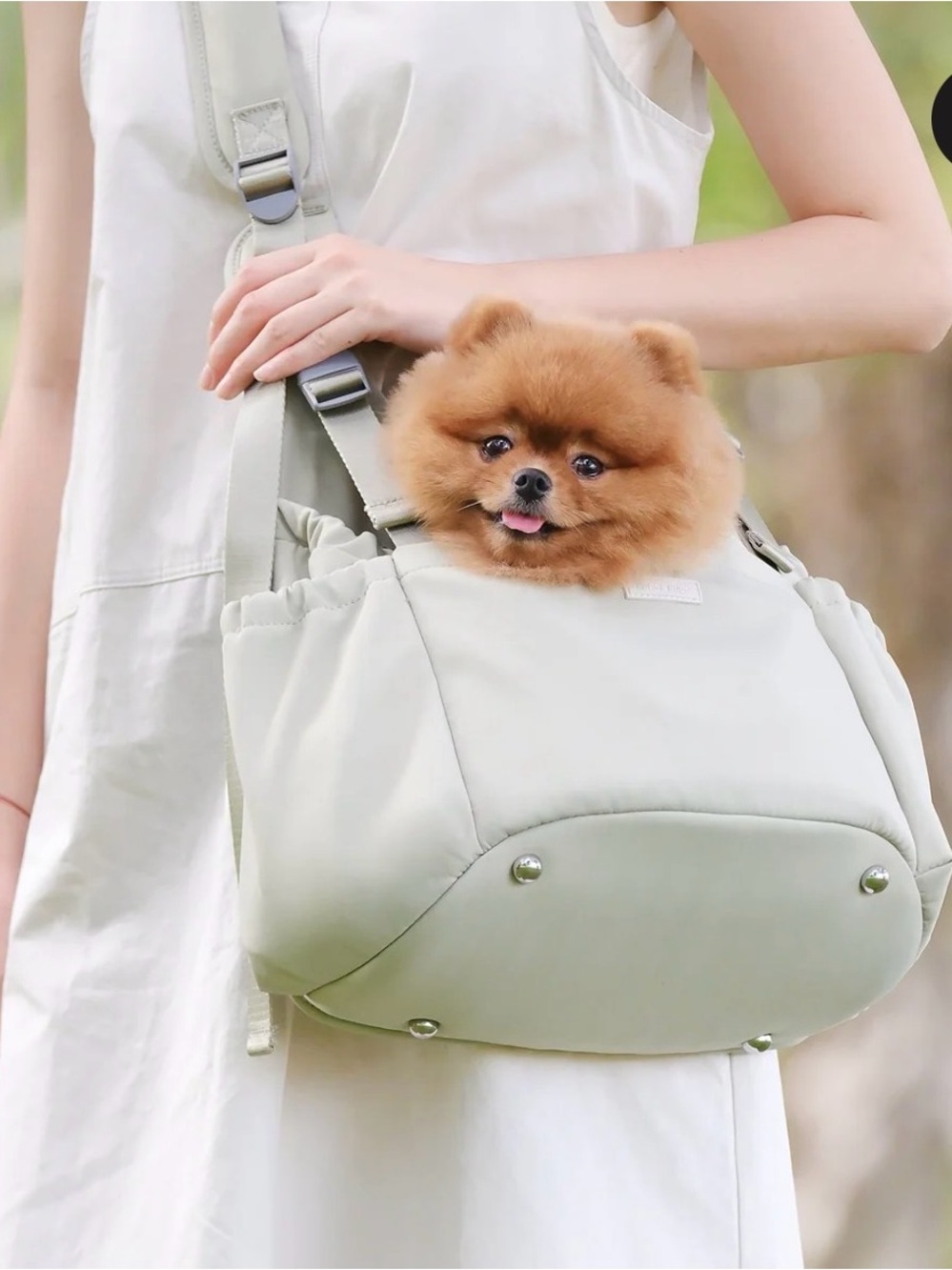 Pups & Bubs Carry Me Crossbody Pet Carrier (Sage)
